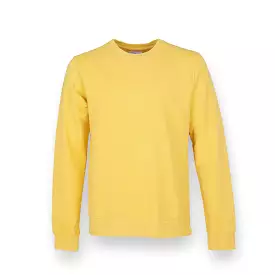 Colorful lemon yellow crew sweat shirt