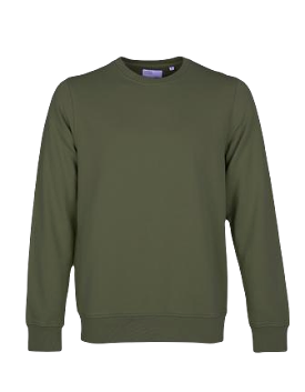 Standard Crew Sweat in Vibrant Seaweed Green