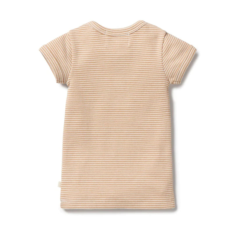 Wilson & Frenchy Organic Rib Tee - Toffee